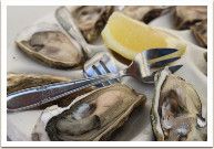 ������� ������ �� �������