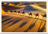 ���������� � ��������: ������ ������ � ����� ������