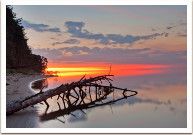 �����������, ����������