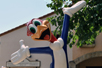   Woody Woodpecker