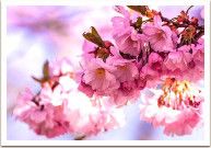 ������ �����������: ����� �� ������� � ������ ������������ ������