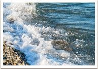 ������ �������� ������ ����� ������ �� ��������� ��������