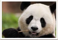 ������� ���������, ��� ������ � ������ ������� ��������� ��������� �������