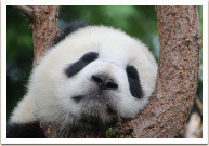 �������� ����������, ��� ����� ��������� ���������� �� �������� � �����