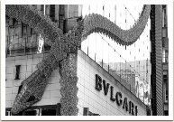 � ������� �������� ����� ������ �� Bvlgari